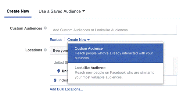 Click Create New and select Custom Audience.